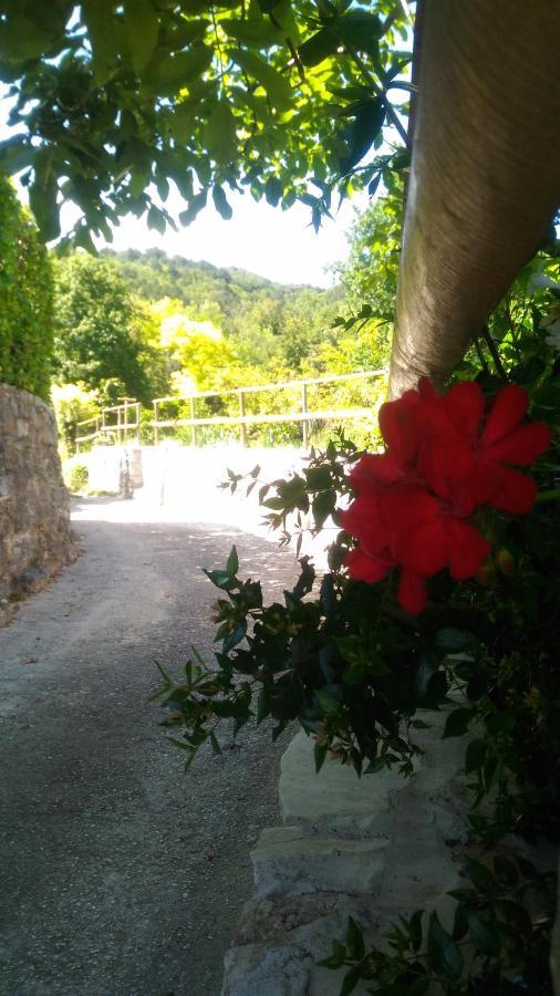 Modena * Costermano sul Garda