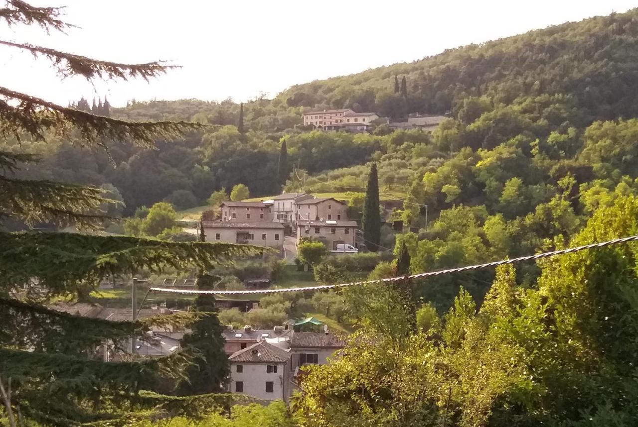 Modena *